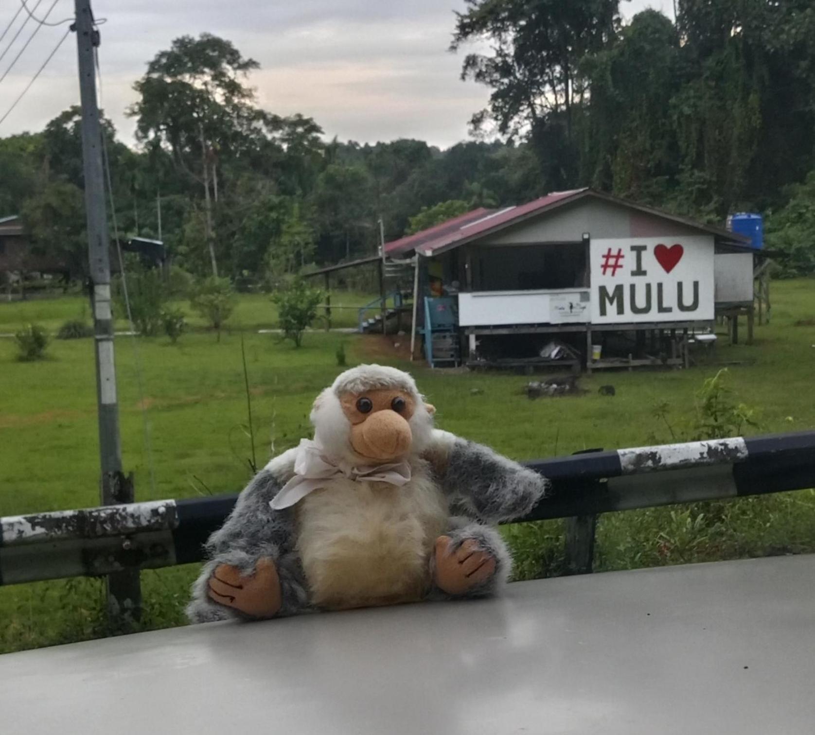 Mulu Village Екстериор снимка