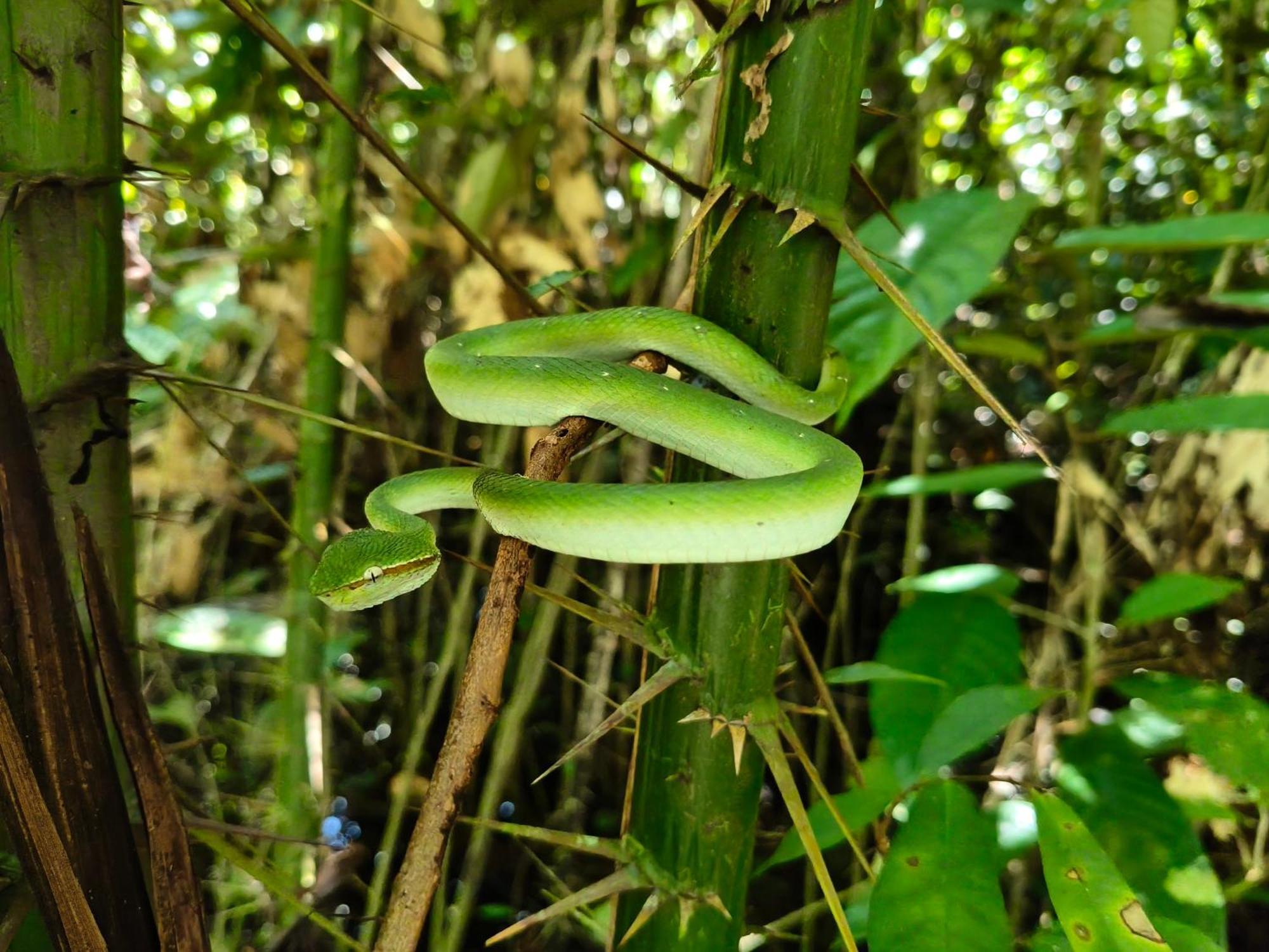 Mulu Village Екстериор снимка