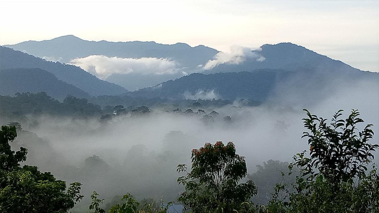 Mulu Village Стая снимка