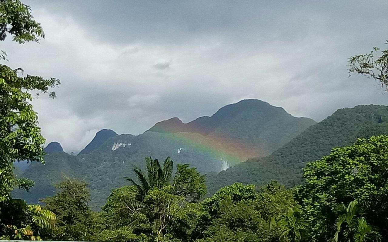 Mulu Village Стая снимка